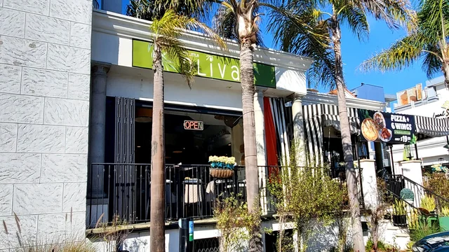 The Little Oliva storefront