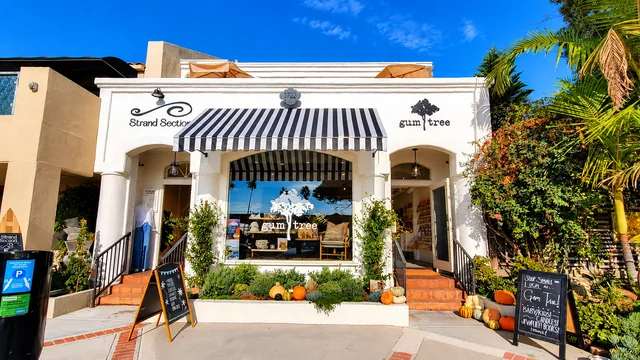 Gum Tree Redondo Beach storefront — user photograph