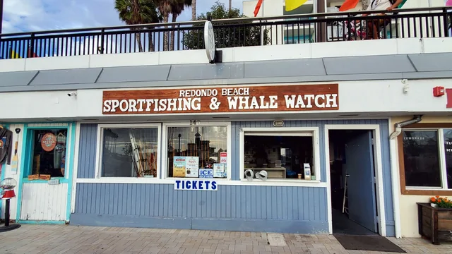 Redondo Beach Sportfishing & Whale Watch user photograph